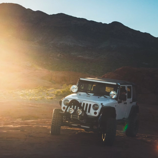 Konka Karoo Guest Farm