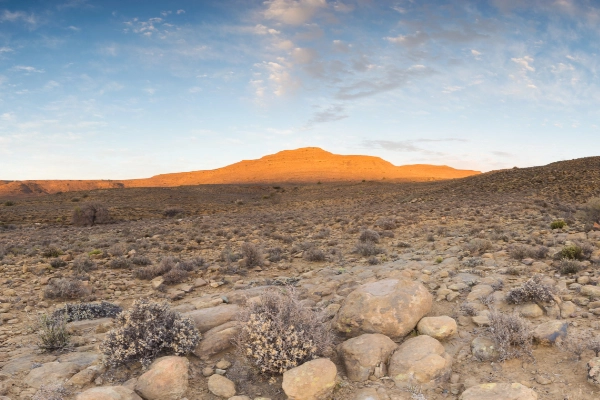 Konka Karoo Guest Farm