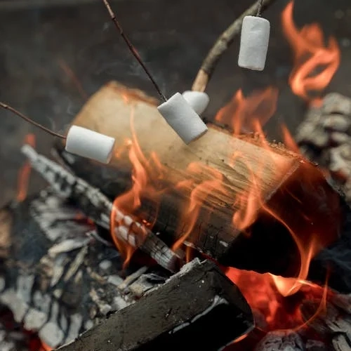 Konka Karoo Guest Farm