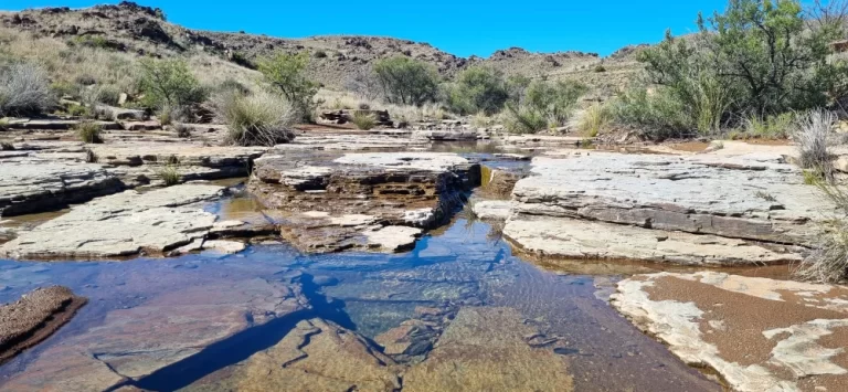 When the Karoo Drinks: A Beautiful Rain Season at Konka